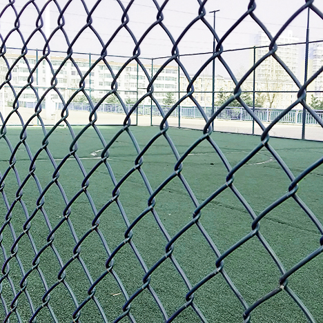 PVC coated Chain Link Mesh