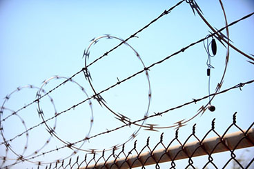 Razor Barbed Wire